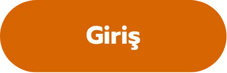 Giriş